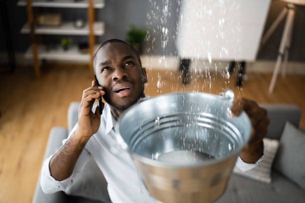 Best Flood damage cleanup  in South Gull Lake, MI