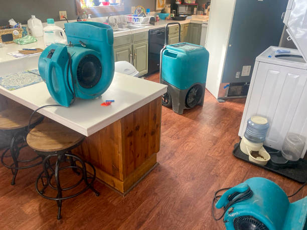 Best Water damage restoration specialists  in South Gull Lake, MI
