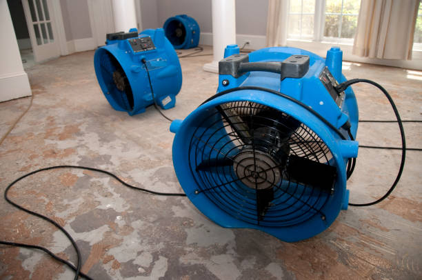 Best Professional water damage repair  in South Gull Lake, MI