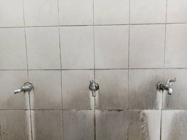 Best Mold removal after water damage  in South Gull Lake, MI