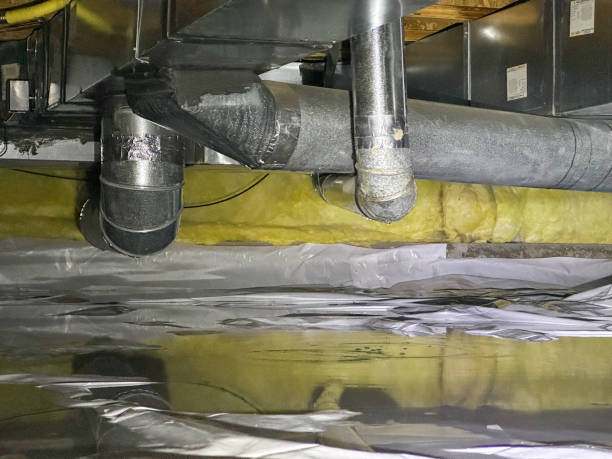 Best Flood restoration services  in South Gull Lake, MI
