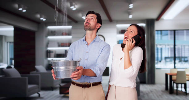Best Emergency water damage restoration  in South Gull Lake, MI