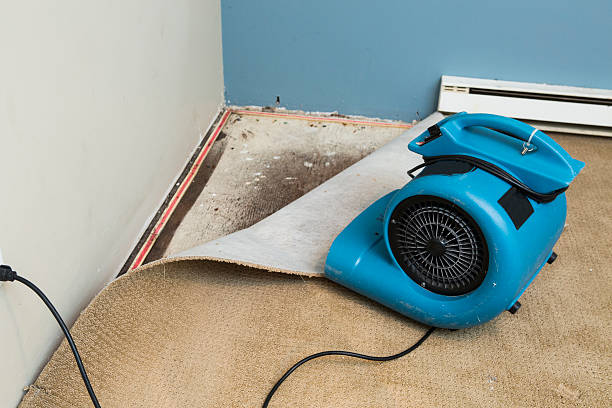 Professional Water damage restoration in MI